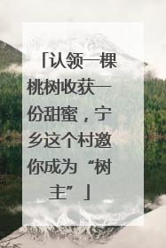 认领一棵桃树收获一份甜蜜，宁乡这个村邀你成为“树主”